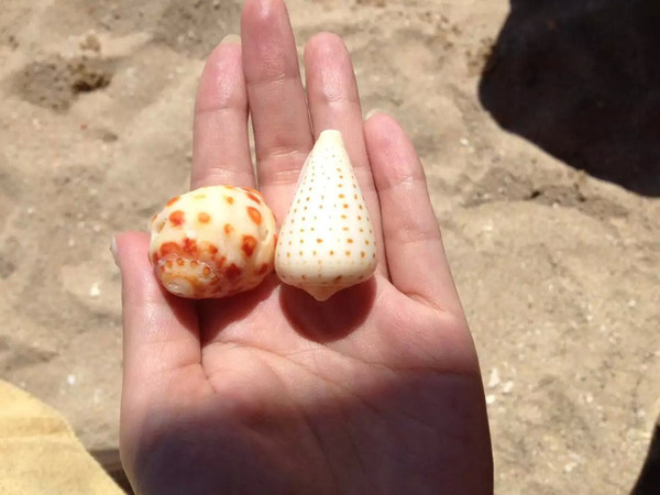 带着婚纱旅行攻略,带着婚纱去旅行拍照