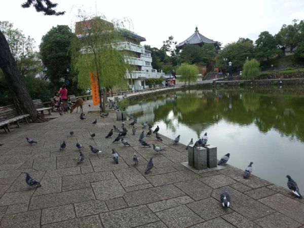 透过细节看本质图片,透过细节看男人的视频