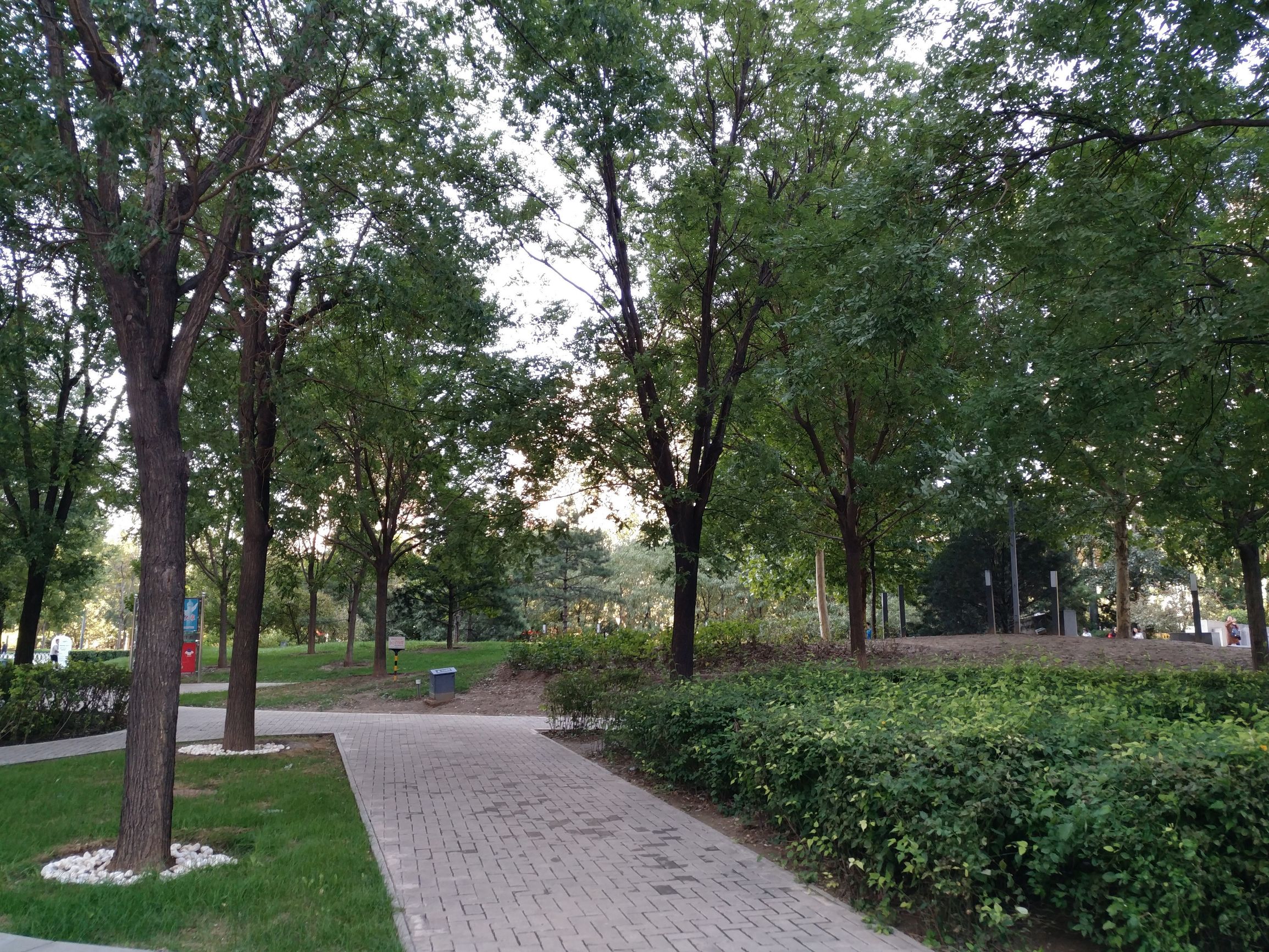 乐pro3双摄ai评测,乐3pro参数