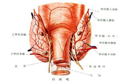 女人经期生气的八大危害,经期吵架生气的危害