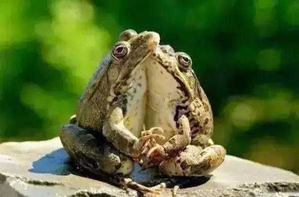 高级合照双人手势,男女拥抱接吻写真高级感照片