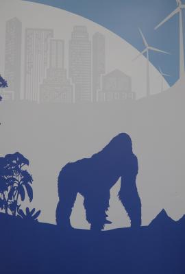 公益报道​|从肯尼亚山脉的草药到越南丛林的穿山甲