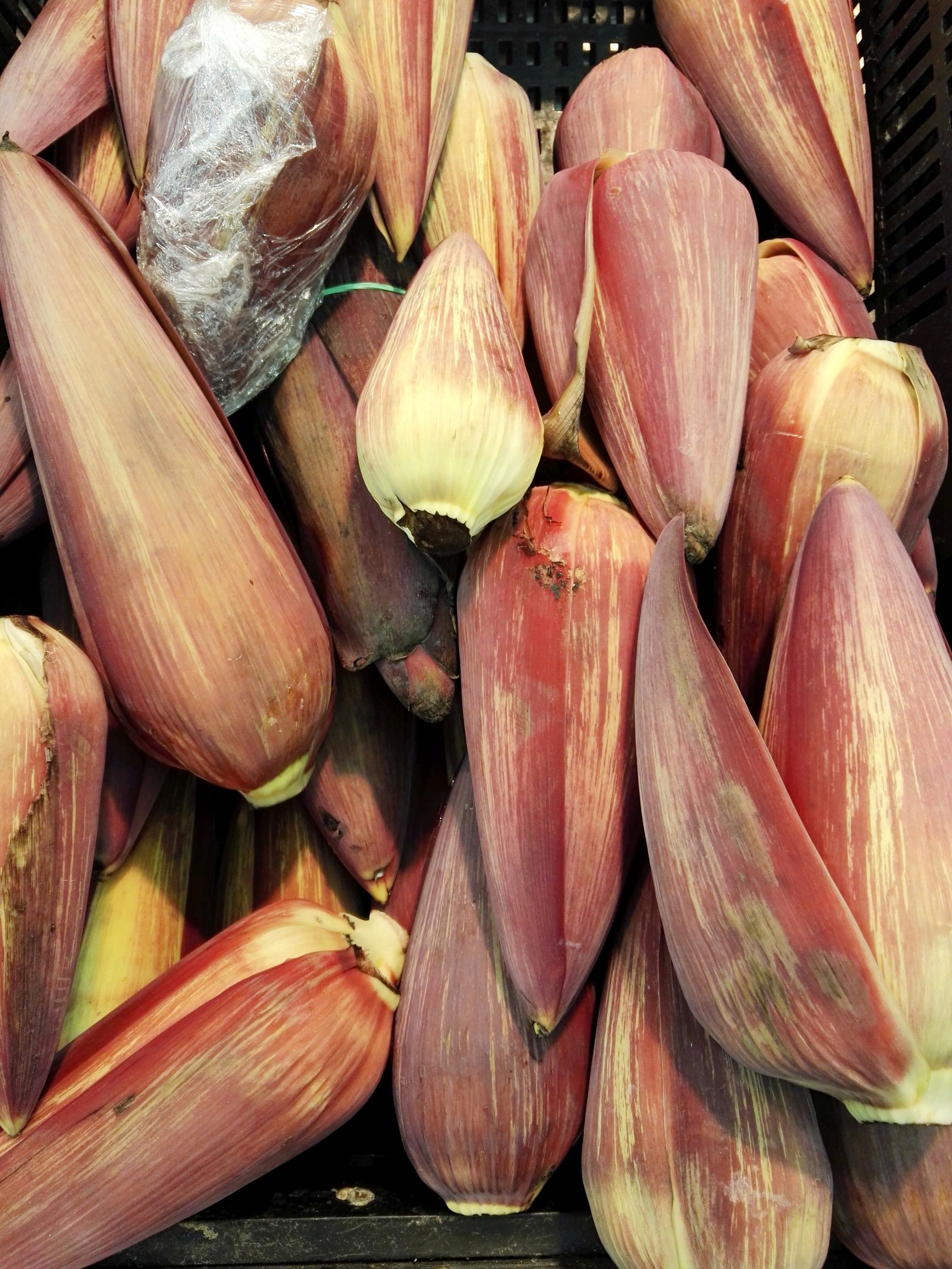 沙特阿拉伯的超市,最爱聘请男收银员