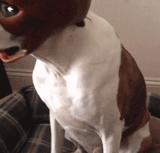 肥皂掉在地上捡还是不捡,肥皂掉地上捡不捡