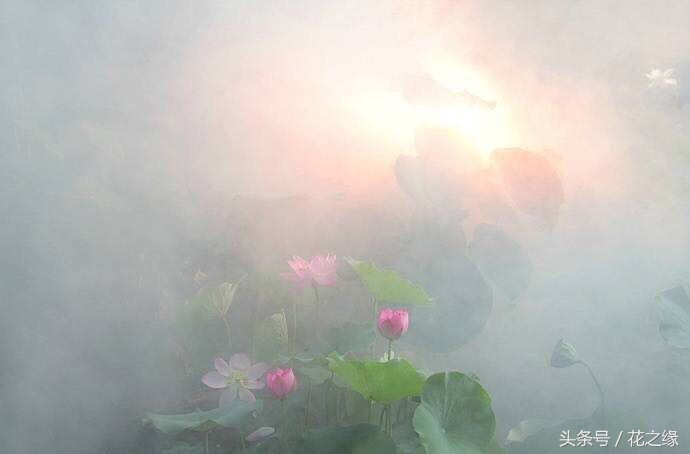 有心跳的生活,美景尽在眼下