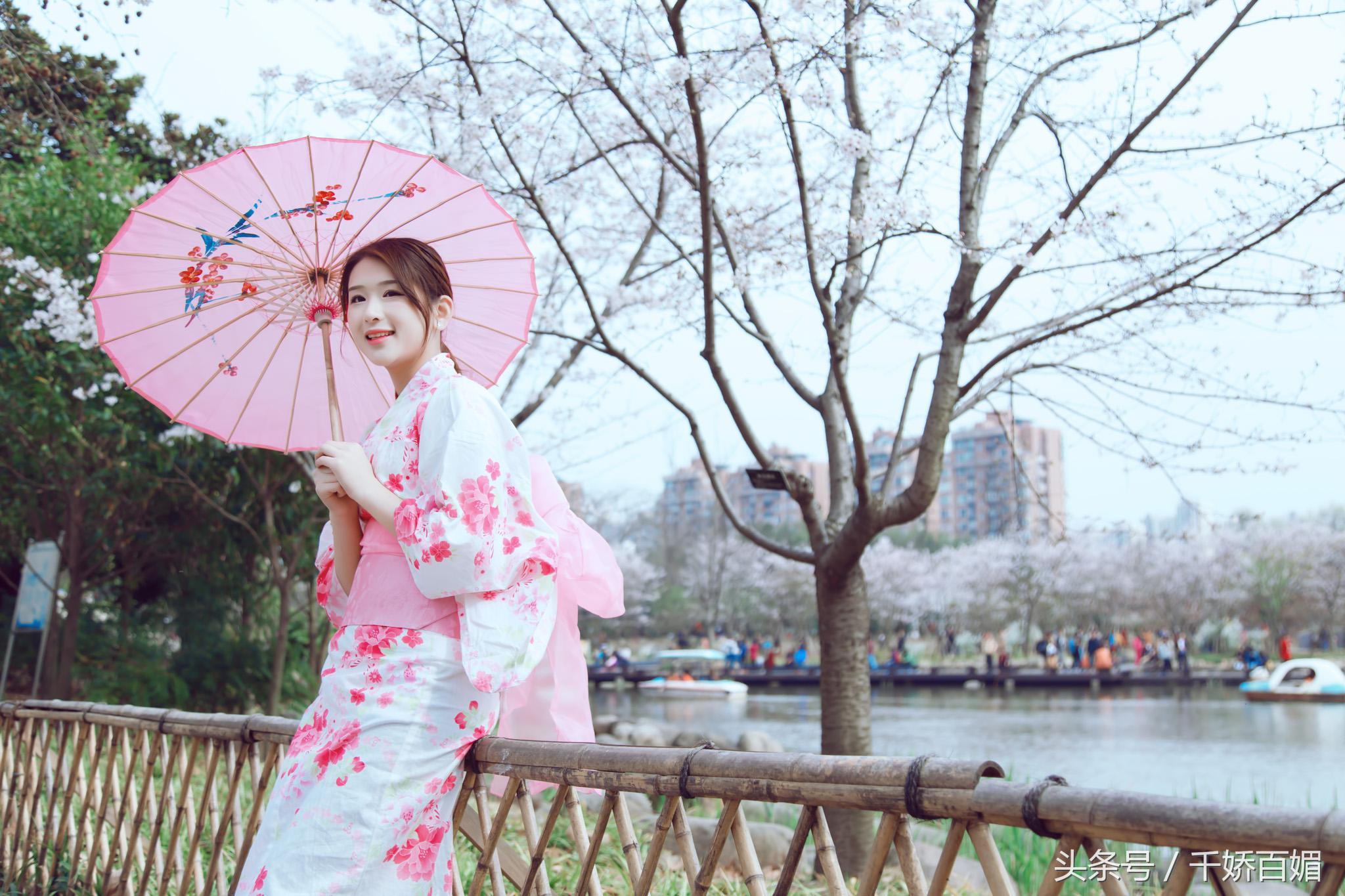 和服樱花日本,日本樱花美景和服