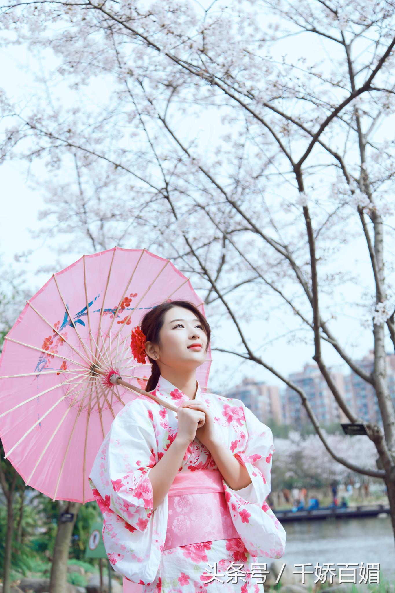 和服樱花日本,日本樱花美景和服