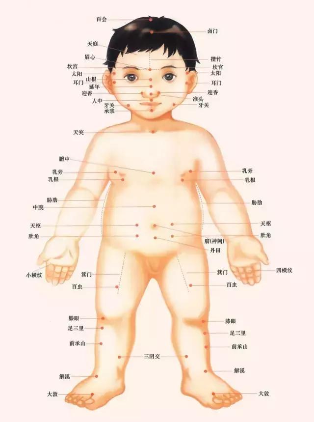 小儿推拿系列微课六,小儿推拿特辑