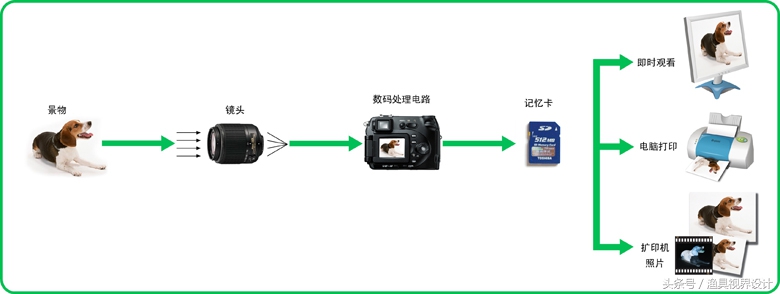 认识单反相机,单反数码相机新手入门