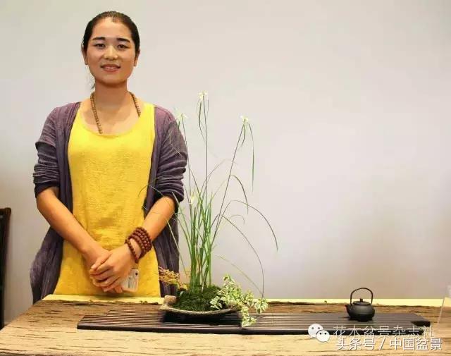 哪些野草适合微型盆景,小品盆景和微型盆景有区别吗