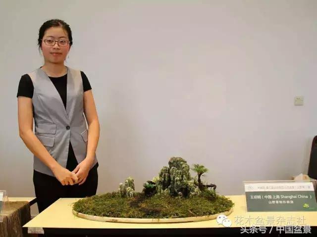 哪些野草适合微型盆景,小品盆景和微型盆景有区别吗