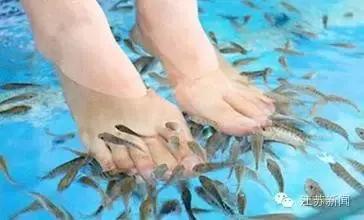 真相如此残酷!通过这种小动物按摩治脚气?小心患上皮肤病!