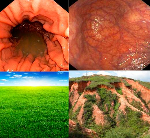 马医生现场版,马医生视频完整版