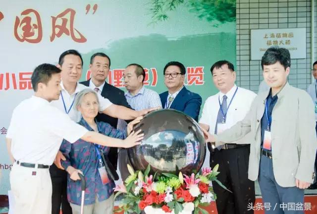 哪些野草适合微型盆景,小品盆景和微型盆景有区别吗