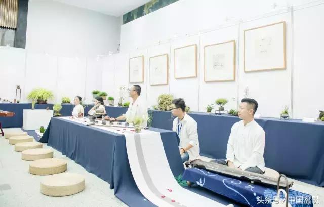 哪些野草适合微型盆景,小品盆景和微型盆景有区别吗