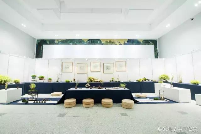 哪些野草适合微型盆景,小品盆景和微型盆景有区别吗