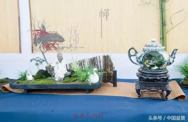 哪些野草适合微型盆景,小品盆景和微型盆景有区别吗