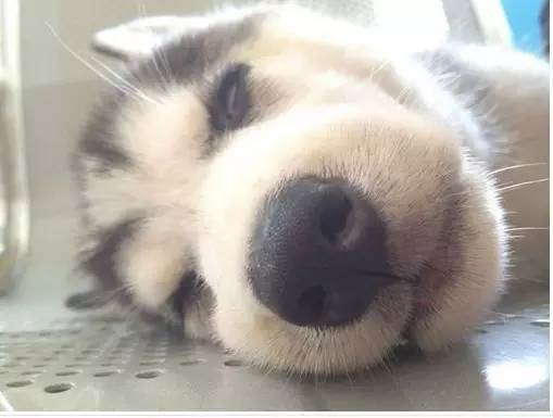 帮你“操翻”老板的装逼指南!