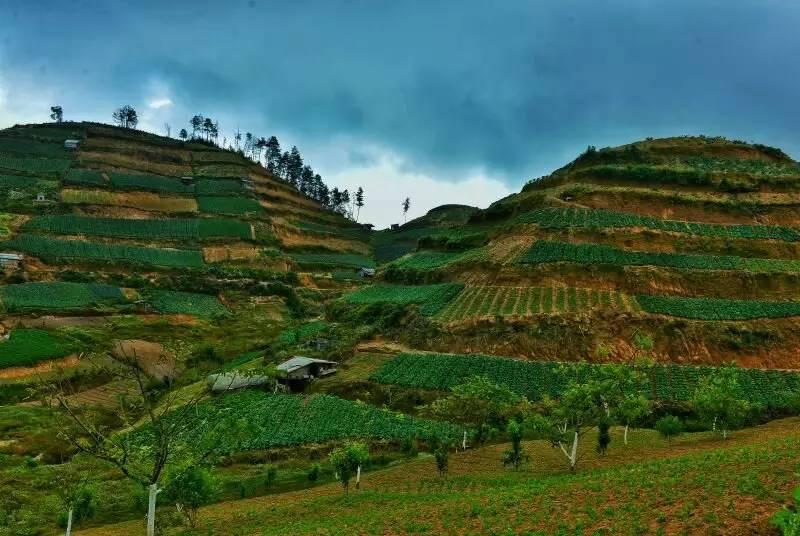 养鸡养羊还养生,德宏的这个地方,去了就不想走了!