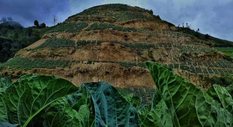 养鸡养羊还养生,德宏的这个地方,去了就不想走了!