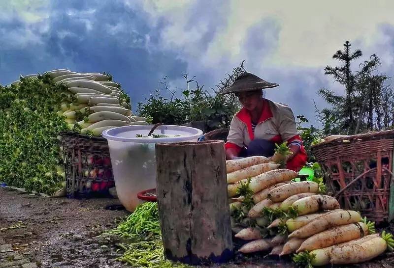 养鸡养羊还养生,德宏的这个地方,去了就不想走了!