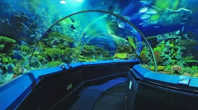 魔都旅游巴士,魔都游玩路线图