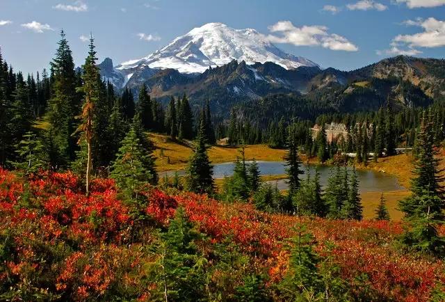 美国50大州排名,美国五十州排名