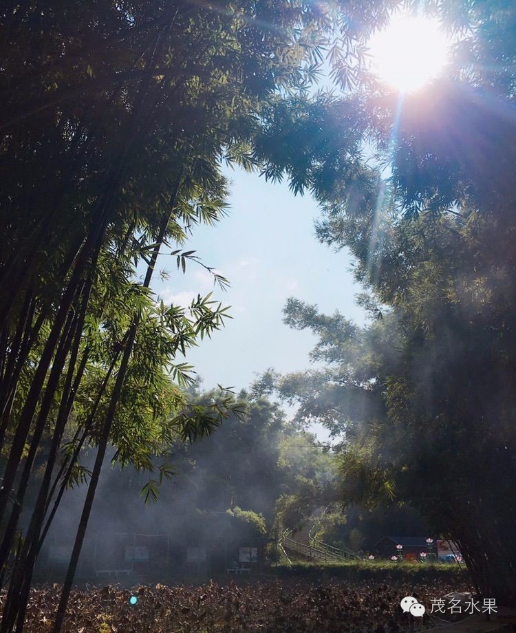 秋天如约而至,秋天如期到来