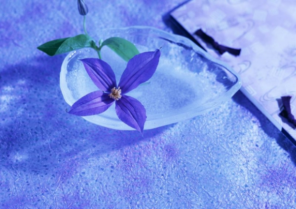 盘点深圳信用*款贷**产品有哪些？*款贷**条件、*款贷**利息介绍