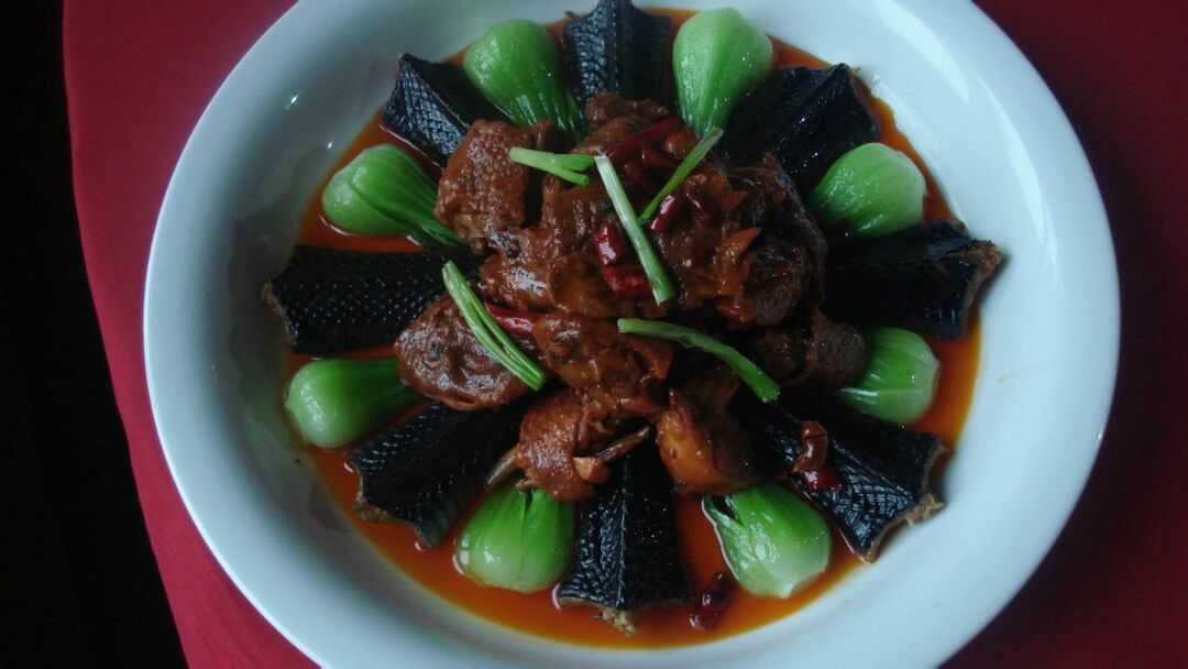 蛇肉汤有多补,吃蛇肉蛇汤