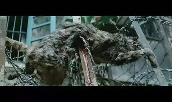 湄公河有几部电影,关于湄公河的电影有哪些