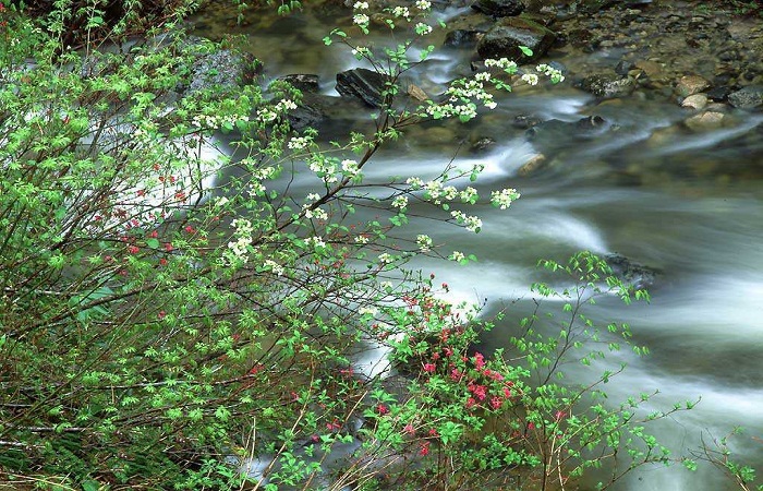 密云仙谷自然风景,世外桃源大自然风景