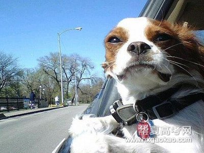 搞笑密码设置,搞笑锁屏密码怎么设置