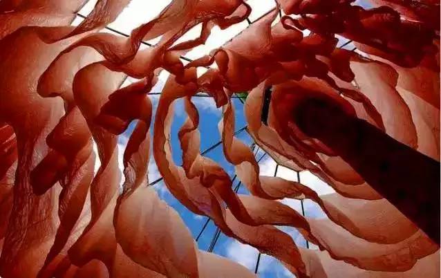 冬季到雪村来看雪,冬季到雪乡去看雪