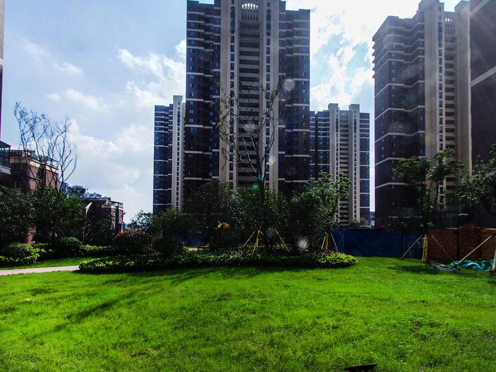 南京金地湖城艺境顶楼,近地铁的新楼盘