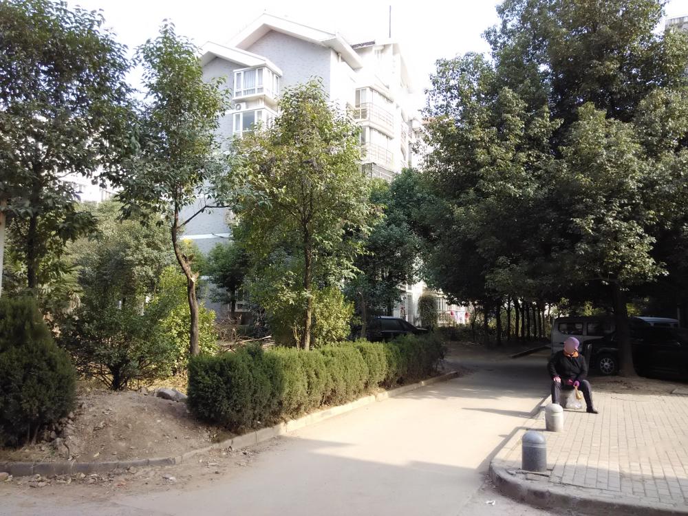 鍒氶渶璐埧鑰呯殑缁濅匠涓婅溅鏈轰細,鍒氶渶璐埧鑰呰鎶撲綇鏈轰細