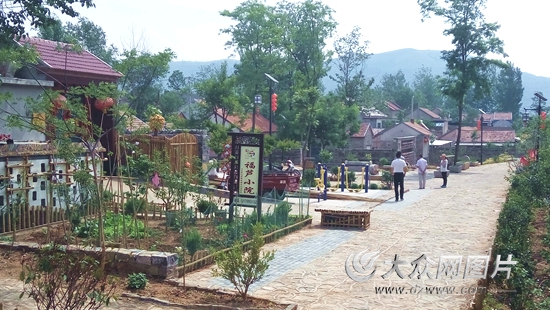 丙申扶贫记(2)一剂脱贫药方让她笑着哭