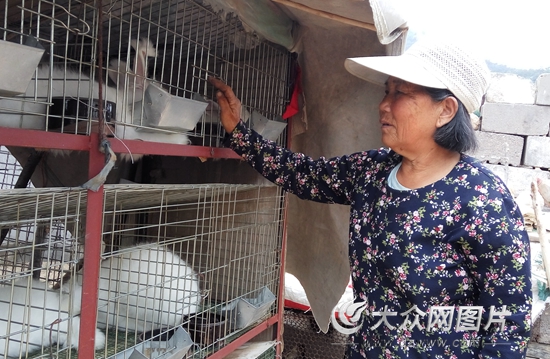 丙申扶贫记(2)一剂脱贫药方让她笑着哭