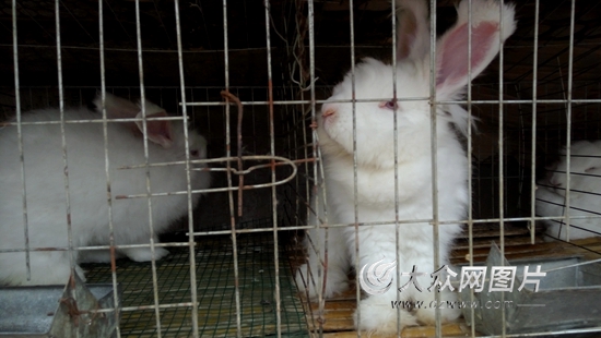 丙申扶贫记(2)一剂脱贫药方让她笑着哭