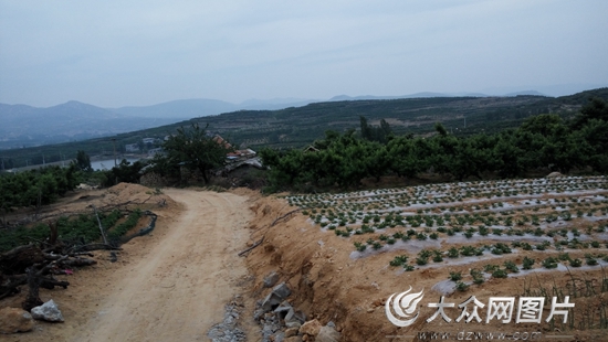 丙申扶贫记(2)一剂脱贫药方让她笑着哭