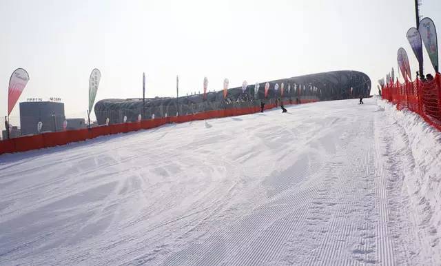北京鸟巢滑雪场门票,鸟巢冰雪嘉年华滑雪场