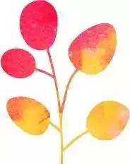 一不小心就成了世界最大，园区的这个巨无霸，还要给你这么多惊喜！