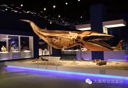 大连周边吃喝玩乐一日游,大连周边五日游攻略