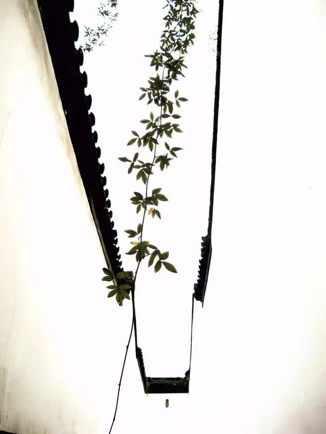 婉约派中国宋词的柔美之风,柔美的古诗赏析