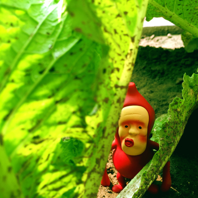 挑战你们的审美,挑战你的审美