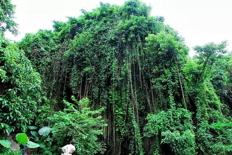 广西哪些地方风景好,广西哪些山好玩
