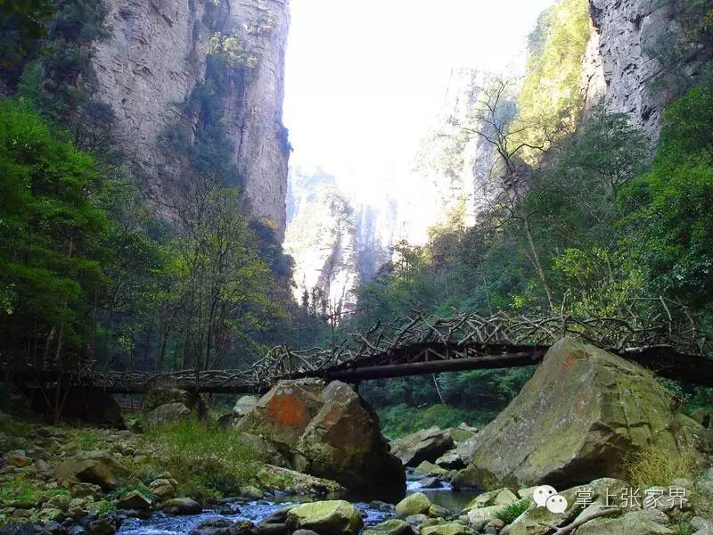这种高度数的水，适合在潺潺溪水边慢慢地品