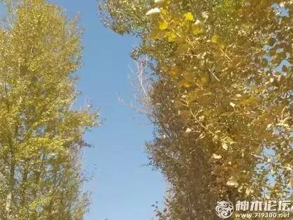 小神说民生丨700元新衣穿2小时起球·闹离婚妻子怒砸车·不合格米粉致娃腹泻