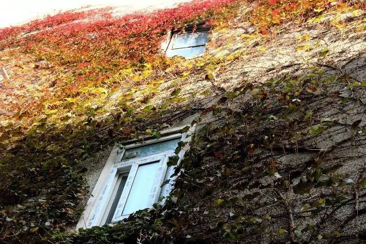 西法大,西法大以后还能评上双一流吗