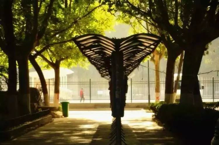 西法大,西法大以后还能评上双一流吗